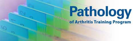 Pathology of Arthritis Training Program